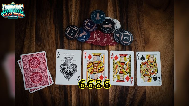 6686 – Khám Phá Thế Giới Cá Cược 2025