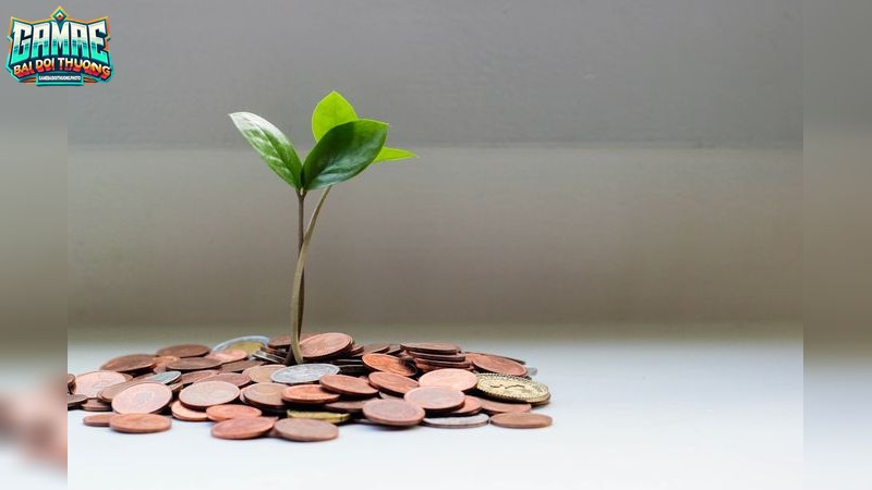 Hiểu Rõ Về Luật Chơi Game Bài Poker Online