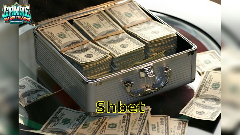 ShBet – Khám Phá Sân Chơi Cá Cược 2025
